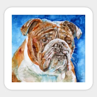 BULLDOG - watercolor portrait .7 Sticker